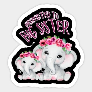 Promoted to Big Sister 2022 Sticker